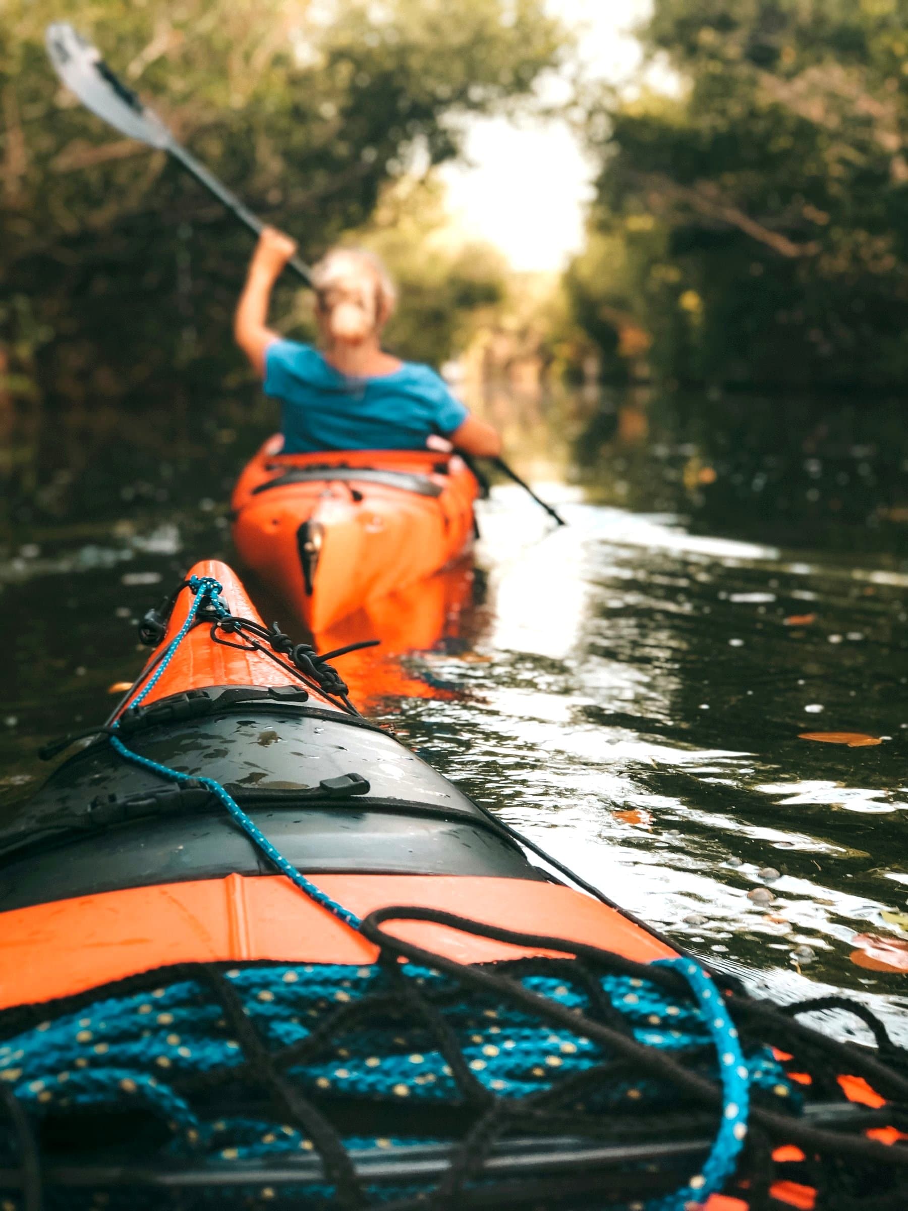 A paddler in a blue shirt, seen from behind, in an orange kayak on calm tree-lined water